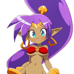 This is a pixiv picture whose title is Shantae.