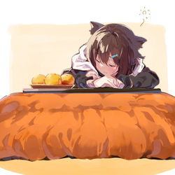 This is a pixiv picture whose title is 猫はコタツで.