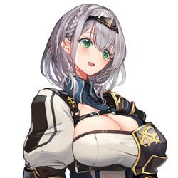 This is a pixiv picture whose title is 団長.