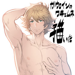 This is a pixiv picture whose title is 光ガウェイン記念.