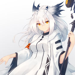 This is a pixiv picture whose title is Ptilopsis.