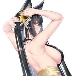 This is a pixiv picture whose title is 【水辺への誘い】紀伊.