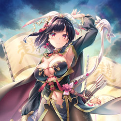 This is a pixiv picture whose title is 錦に抗う者　王異.
