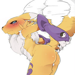 This is a pixiv picture whose title is 喜ぶ尻尾をなだめる狐.