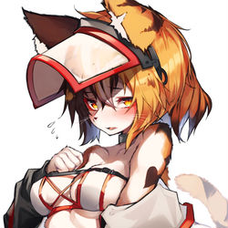 This is a pixiv picture whose title is 三毛ケモ.