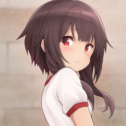 This is a pixiv picture whose title is 体操服めぐみん.