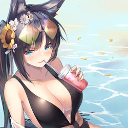 This is a pixiv picture whose title is 水着紀伊.