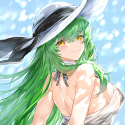 This is a pixiv picture whose title is C.C..