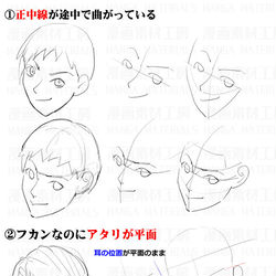 This is a pixiv picture whose title is 個人メモ　フカンの顔.