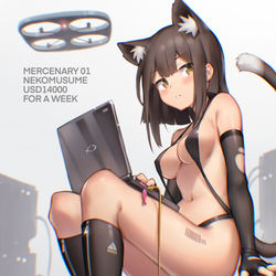 This is a pixiv picture whose title is mercenary 01.