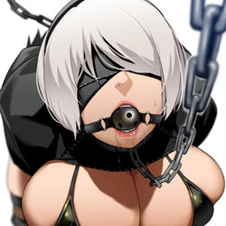 This is a pixiv picture whose title is 2B.