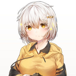 This is a pixiv picture whose title is 📷.