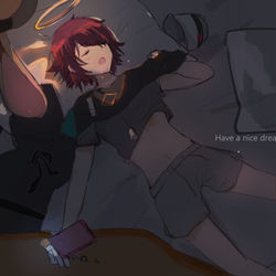 This is a pixiv picture whose title is いい夢を.