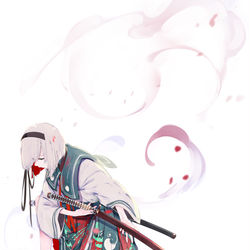 This is a pixiv picture whose title is 魂魄妖夢.