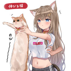 This is a pixiv picture whose title is 伸びる猫.