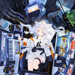 This is a pixiv picture whose title is ハコイリムスメ.