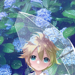 This is a pixiv picture whose title is 紫陽花.