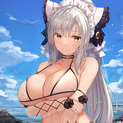 This is a pixiv picture whose title is 猫耳ドレイク.