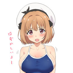 This is a pixiv picture whose title is 女の子.