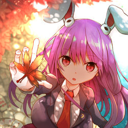 This is a pixiv picture whose title is 紅葉ウサギ.