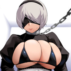 This is a pixiv picture whose title is 2B.