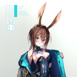 This is a pixiv picture whose title is アーミヤちゃんバニー.