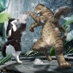 This is a pixiv picture whose title is 白黒vsキジトラ.