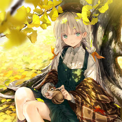 This is a pixiv picture whose title is 黄色く彩る季節.