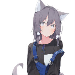 This is a pixiv picture whose title is あぐらけもみみ.