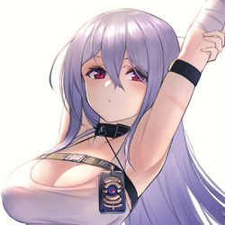 This is a pixiv picture whose title is ロシア.