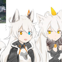 This is a pixiv picture whose title is husky & wolf.