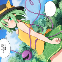 This is a pixiv picture whose title is ミニスカノースリーブこいしちゃんを.