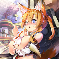 This is a pixiv picture whose title is 電車のきつね.