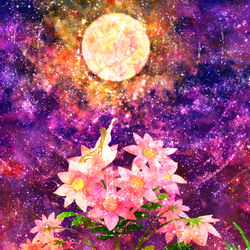 This is a pixiv picture whose title is 皇帝ダリア.