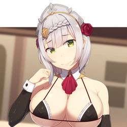 This is a pixiv picture whose title is なんでも私にお任せください.