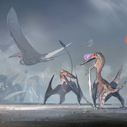This is a pixiv picture whose title is Pterosauria|翼龙目.
