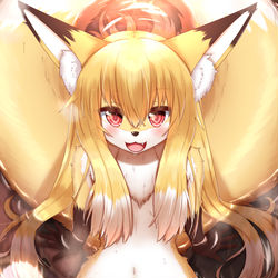 This is a pixiv picture whose title is 男の子を魅了する狐浴の湯.