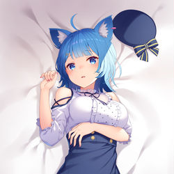 This is a pixiv picture whose title is だきまくらかばー.