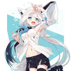 This is a pixiv picture whose title is 白上フブキ100万人記念.