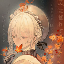 This is a pixiv picture whose title is 红一葉.