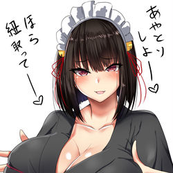 This is a pixiv picture whose title is しあわせにしてくる座敷童.
