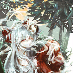 This is a pixiv picture whose title is 藤原妹紅.