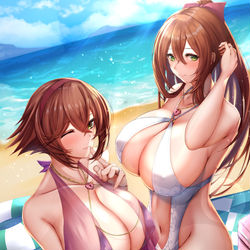 This is a pixiv picture whose title is 陸奥&スプリングフィールド.