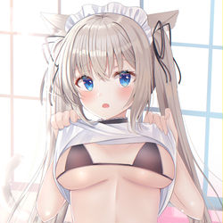 This is a pixiv picture whose title is たくしあげ猫耳メイド.