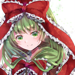 This is a pixiv picture whose title is 鍵山雛.