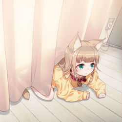 This is a pixiv picture whose title is カーテンに隠れているつもりのきなこ.