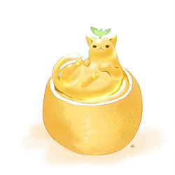 This is a pixiv picture whose title is ねこゆずゼリー.