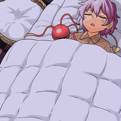 This is a pixiv picture whose title is ペット優先.