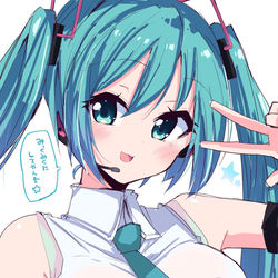 This is a pixiv picture whose title is リクエストより初音ミクちゃん.