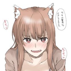 This is a pixiv picture whose title is 賢狼の誤算.